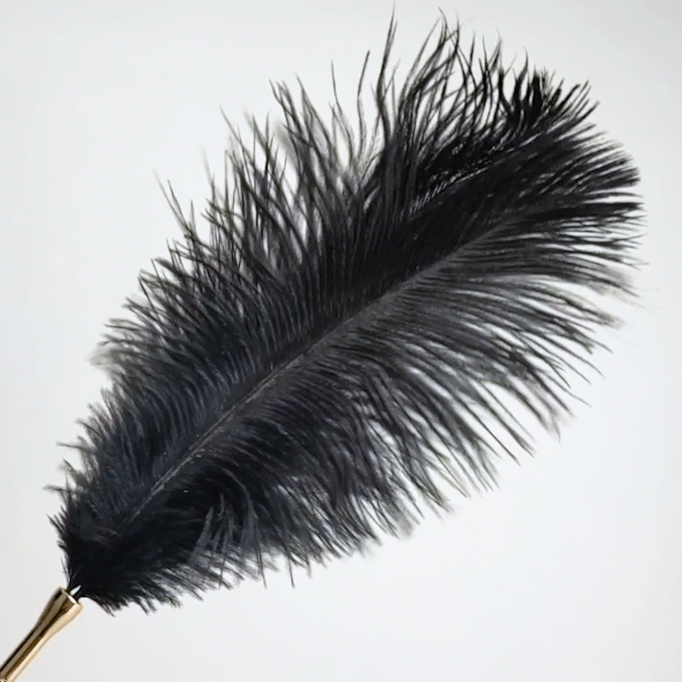 Feather Tickler from The Blackmarket