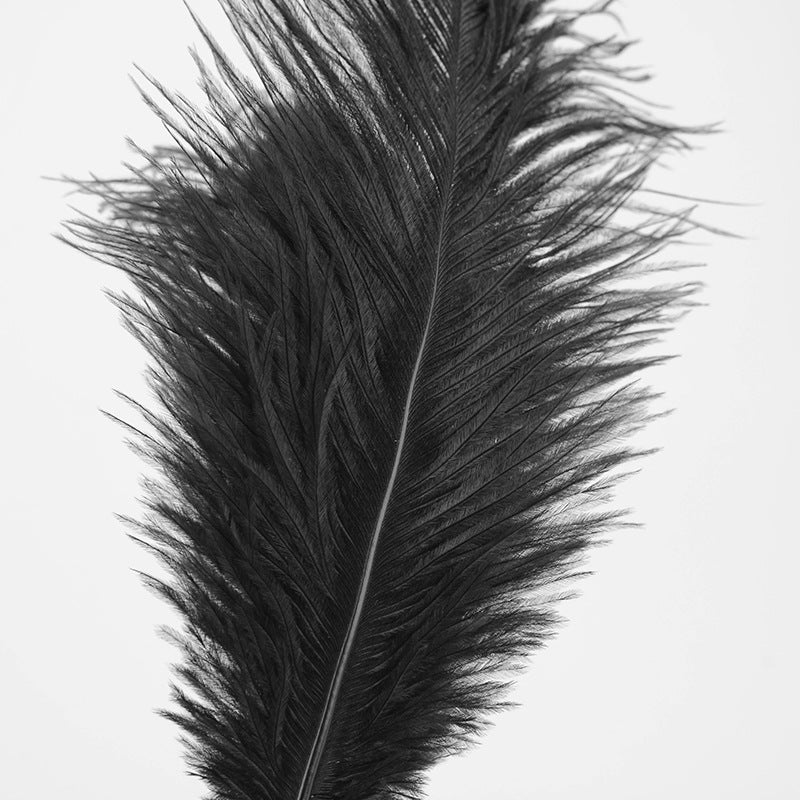 Tease Me - Please Me - Ostrich Feather Tickler