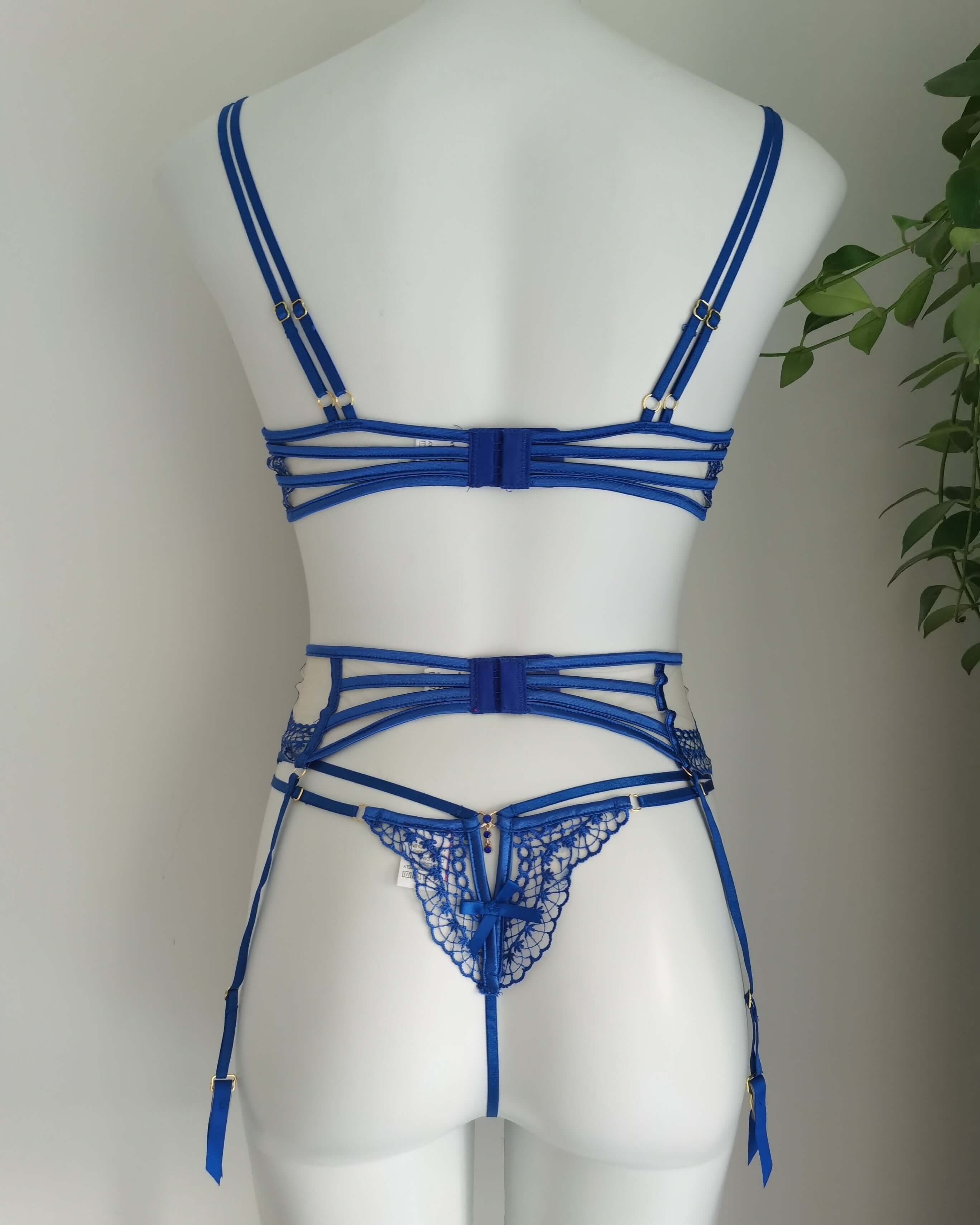 Heaven on Earth Sheer Blue Lace Lingerie